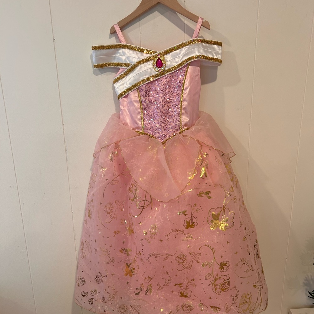 Disney World Princess Aurora Dress